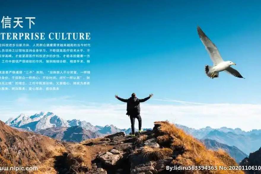 球帝与城市体育场馆合作案例配图